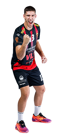 web_mitrovic 2